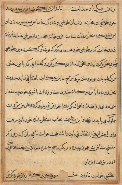 Sida från Tales of a Parrot Tuti-nama: textsida, ca. 1560. av Unbekannt