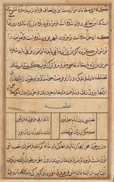 Sida från Tales of a Parrot Tuti-nama: textsida, ca. 1560. av Unbekannt
