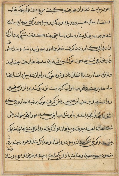 Sida från Tales of a Parrot Tuti-nama: textsida, ca. 1560. av Unbekannt