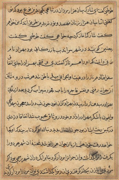 Sida från Tales of a Parrot Tuti-nama: textsida, ca. 1560. av Unbekannt