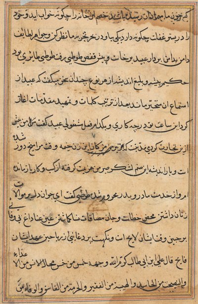 Sida från Tales of a Parrot Tuti-nama: textsida, ca. 1560. av Unbekannt