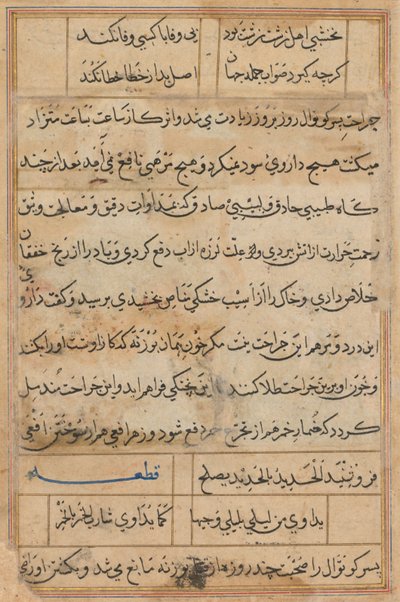 Sida från Tales of a Parrot Tuti-nama: textsida, ca. 1560. av Unbekannt
