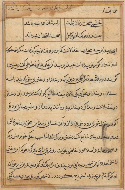 Sida från Tales of a Parrot Tuti-nama: textsida, ca. 1560. av Unbekannt