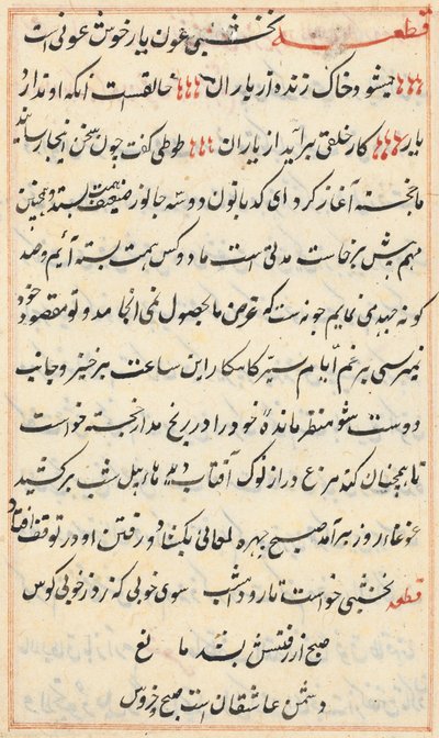 Sida från Tales of a Parrot Tuti-nama: textsida, ca. 1560. av Unbekannt
