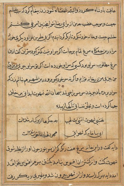 Sida från Tales of a Parrot Tuti-nama: textsida, ca. 1560. av Unbekannt