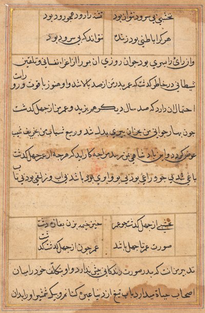 Sida från Tales of a Parrot Tuti-nama: textsida, ca. 1560. av Unbekannt