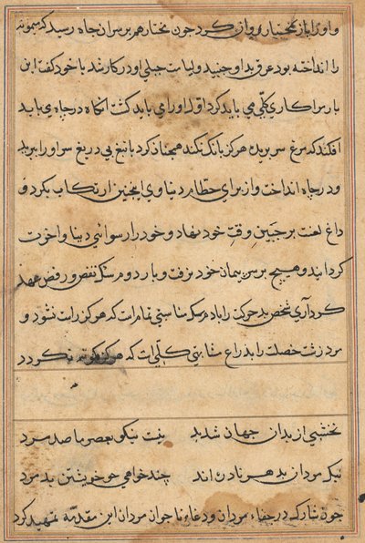 Sida från Tales of a Parrot Tuti-nama: textsida, ca. 1560. av Unbekannt