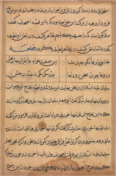 Sida från Tales of a Parrot Tuti-nama: textsida, ca. 1560. av Unbekannt