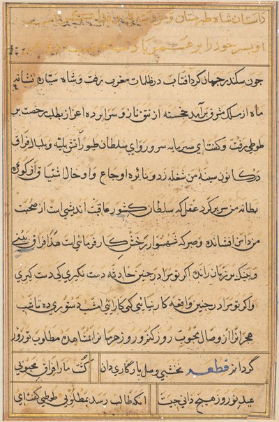 Sida från Tales of a Parrot Tuti-nama: textsida, ca. 1560. av Unbekannt