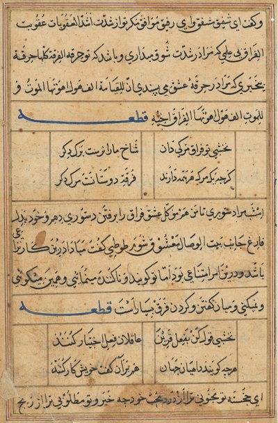 Sida från Tales of a Parrot Tuti-nama: textsida, ca. 1560. av Unbekannt