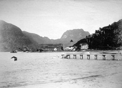 Pago Pago Harbor, på ön Tutuila, Amerikanska Samoa, 1889 av Unbekannt