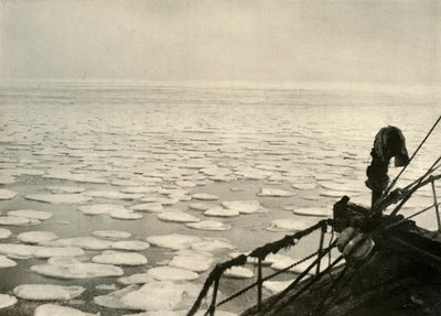 Pannkaksis i Rosshavet, c1908, 1909. av Unbekannt