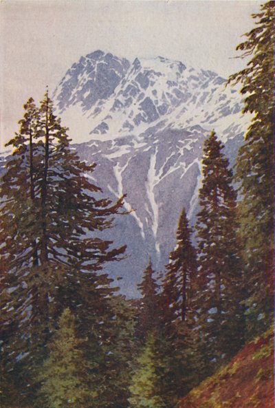 Toppen i Himalaya, 1924 av Unbekannt