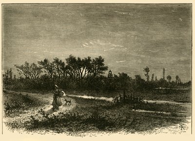 Peakirk, från skäret, 1898. av Unbekannt
