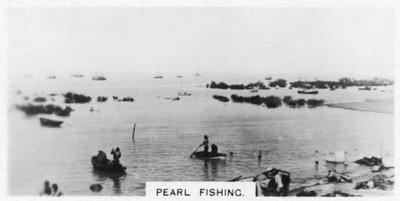 Pärlfiske, Australien, 1928 av Unbekannt