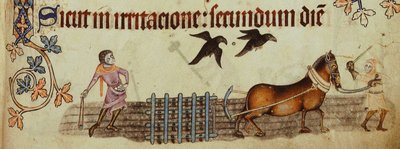 Bönder som plöjer från Luttrell Psalter, ca 1330 av Unbekannt