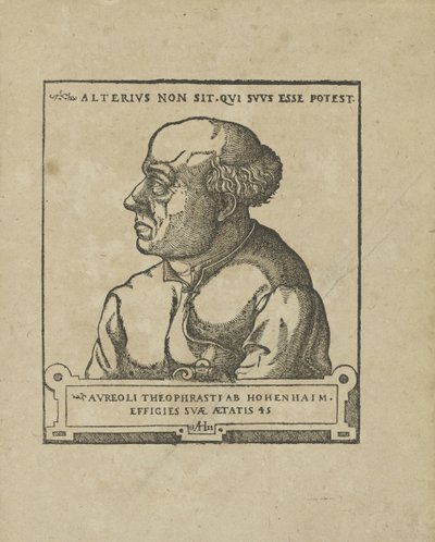 Philippus Theophrastus Aureolus Bombastus von Hohenheim Paracelsus, ca 1538 av Unbekannt