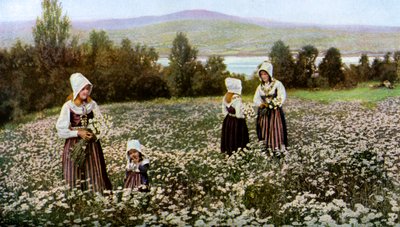 Plocka blommor på en äng nära Leksand, Sverige, c1923 av Unbekannt
