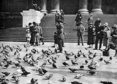 Duvor på Trafalgar Square, London, 1926-1927 av Unbekannt