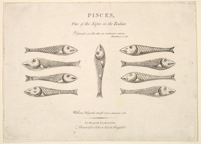 Fiskarna: Hogarths Quadrille Fish, ca. 1730. av Unbekannt