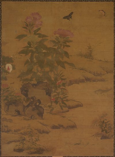 Växter och insekter, 1368-1644. av Unbekannt