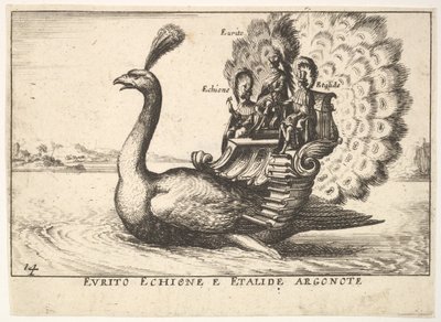 Plåt 14: Argonauterna Eurytus, Echion och Aethalides Eurito Echione e Etalide Argonote..., 1664 av Unbekannt