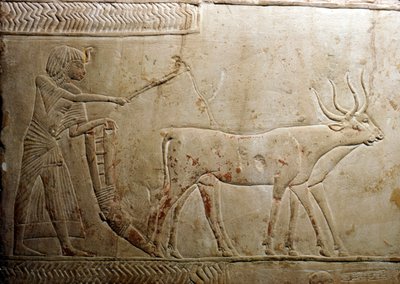 Plöjning från en egyptisk stel, 18:e dynastin, 1332-1323 f.Kr. av Unbekannt