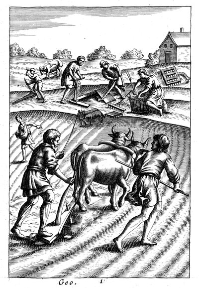 Plöjning med oxar, sådd av utsäde och harvning, 1700-tal av Unbekannt