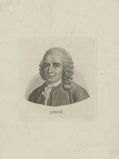 Porträtt av Carl Linné 1707-1778, ca. 1780. av Unbekannt