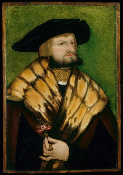 Porträtt av Leonhard Fuchs, 1525. av Unbekannt