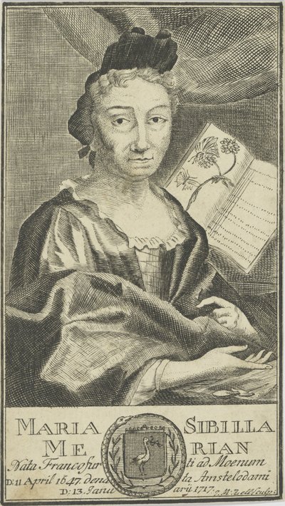 Porträtt av Maria Sibylla Merian 1647-1717, 1755. av Unbekannt