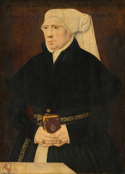 Porträtt av en dam, 1532. av Unbekannt