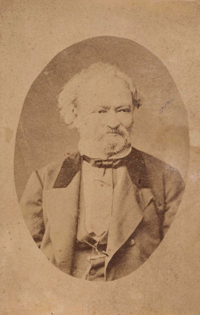 Porträtt av pianisten och kompositören Ferenc Erkel 1810-1893, ca. 1875. av Unbekannt