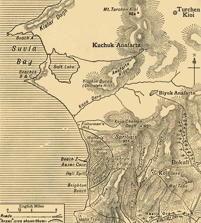 ANZAC-styrkornas positioner på halvön Gallipoli i Turkiet, första världskriget, juli 1915, c1920. av Unbekannt