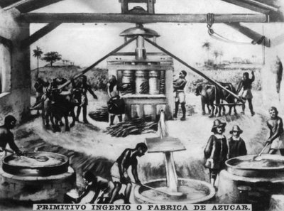 Primitiv uppfinningsrikedom, 1500-talet, 1920-talet av Unbekannt