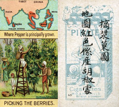 Huvudområden för produktion av peppar, från serien av "Products of the World" cigarettkort som produceras av Wills "Pirate" Cigarettes för marknaden i Kina av Unbekannt