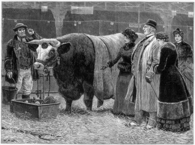 Pristjur, 1883 av Unbekannt