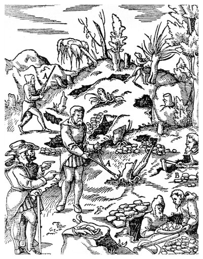Prospektering efter metaller, 1556 1956 av Unbekannt