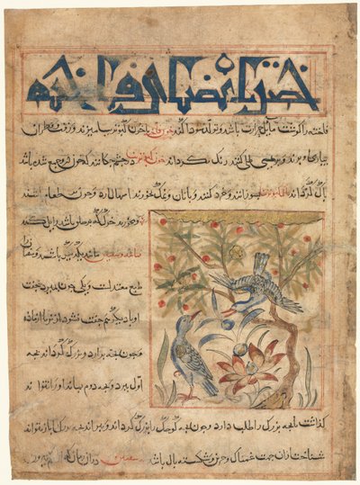 Egenskaper hos Ringduvor recto från en Manafi al-Hayawan On the Usefulness of Animals, ca. 1300. av Unbekannt
