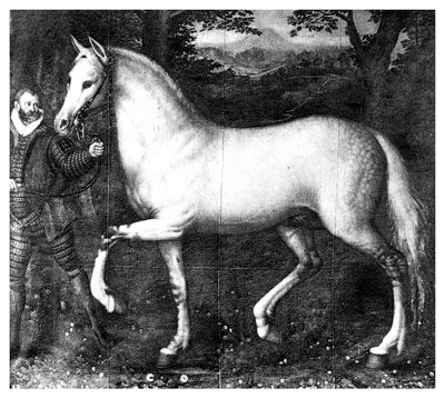 Drottning Elizabeth är häst, 1896 av Unbekannt