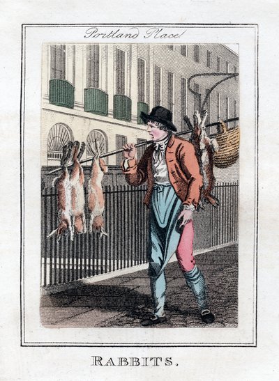 Kaniner, Portland Place, London, 1805 av Unbekannt