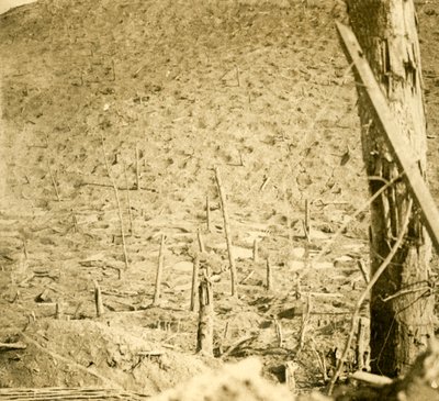 Ravinen vid Les Éparges, norra Frankrike, c1914-c1918. av Unbekannt