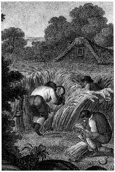 Skörda med skäror och binda kärvarna, England, c1800 av Unbekannt