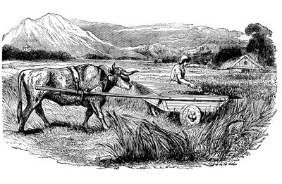 Rekonstruktion av romersk skördevagn, enligt beskrivning av Plinius, Gravyr, 1860 av Unbekannt