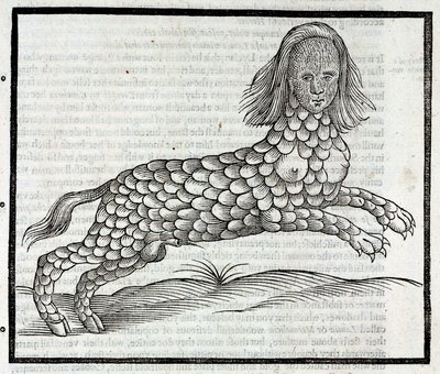 "Representation de la creature Lamia (Sybaris) Gravure däck av "History of Four-Footed Beastes" d