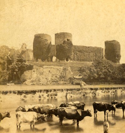 Rhuddlan - Slott från floden, c1900. av Unbekannt