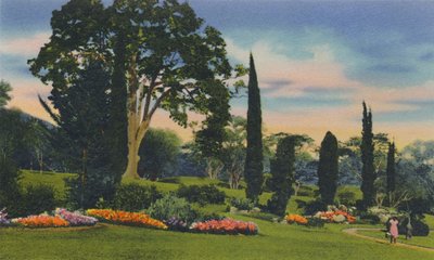 Rock Garden, Trinidad, B.W.I., ca 1940-talet. av Unbekannt