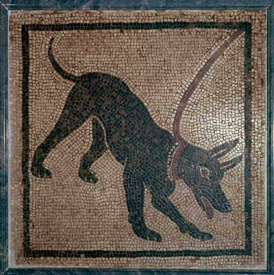 Romersk mosaik av en hund, 1:a århundradet av Unbekannt