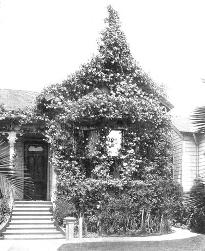 Rose Cottage, South Spring Street, Los Angeles, Kalifornien, USA, c1900. av Unbekannt