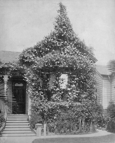 Rose Cottage, South Spring Street, Los Angeles, Kalifornien, c1897. av Unbekannt